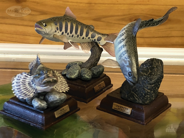 渓流魚達の置き物をいただきましたょ・・かなりリアルでマニアック