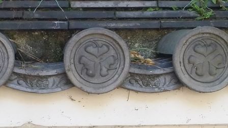 三つ葉葵の紋」の一番最初 « 中根よしたか ブログ