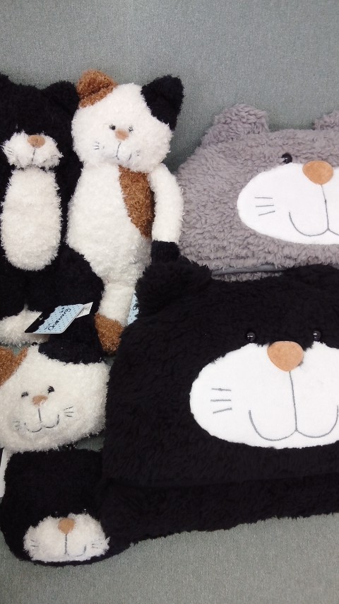 チャーミー大人気です！ | 東京ねこなかま