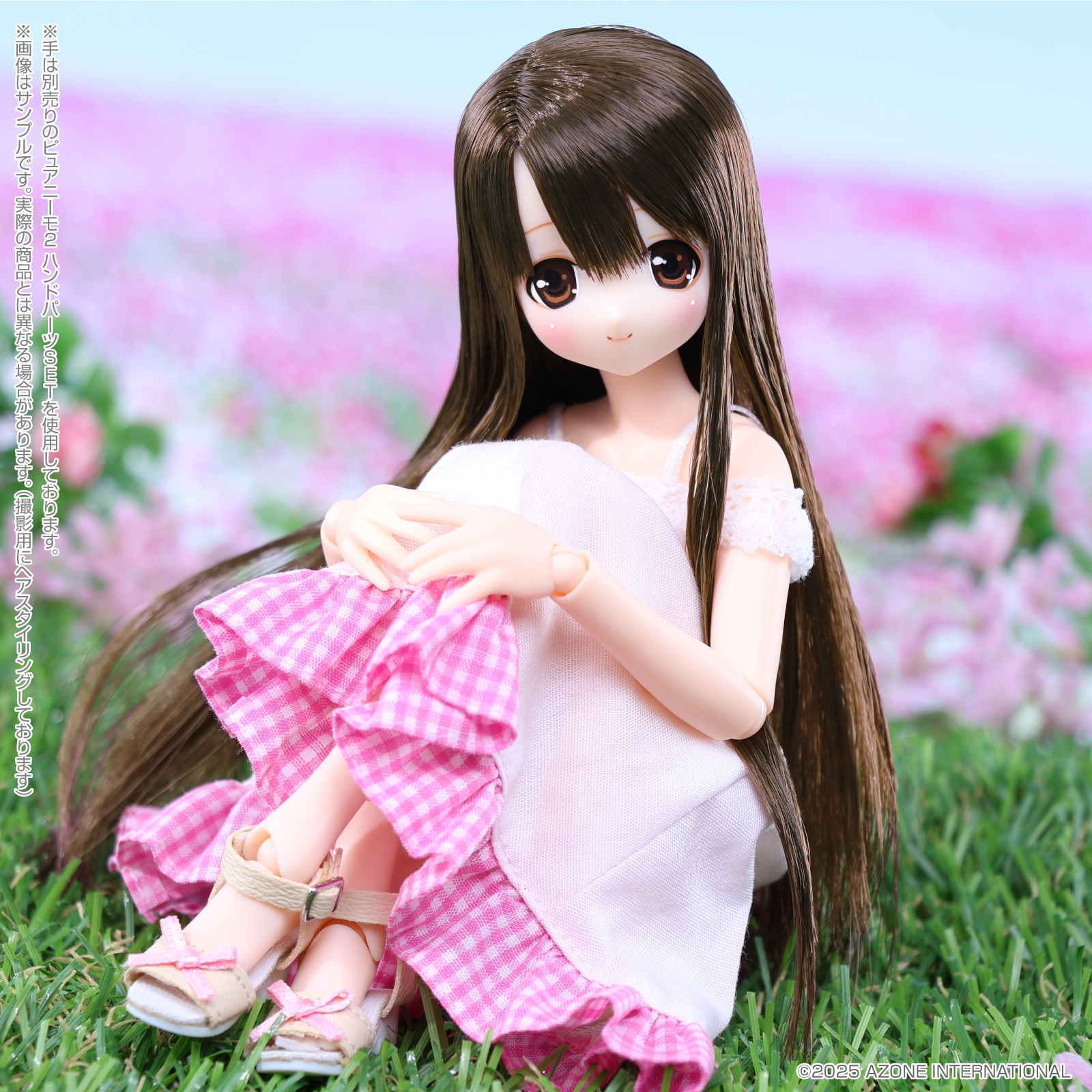 POD019-ACR_7.jpg
