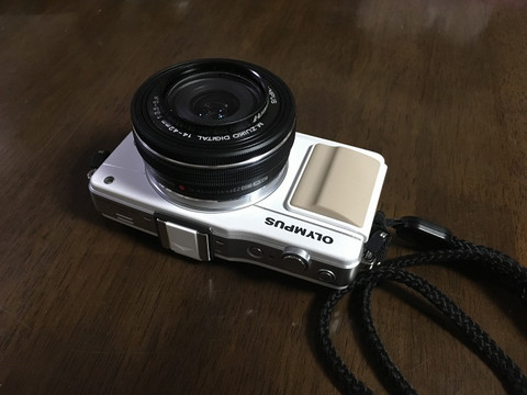 レンズエラーのたまもの: ひのした堂写真帳