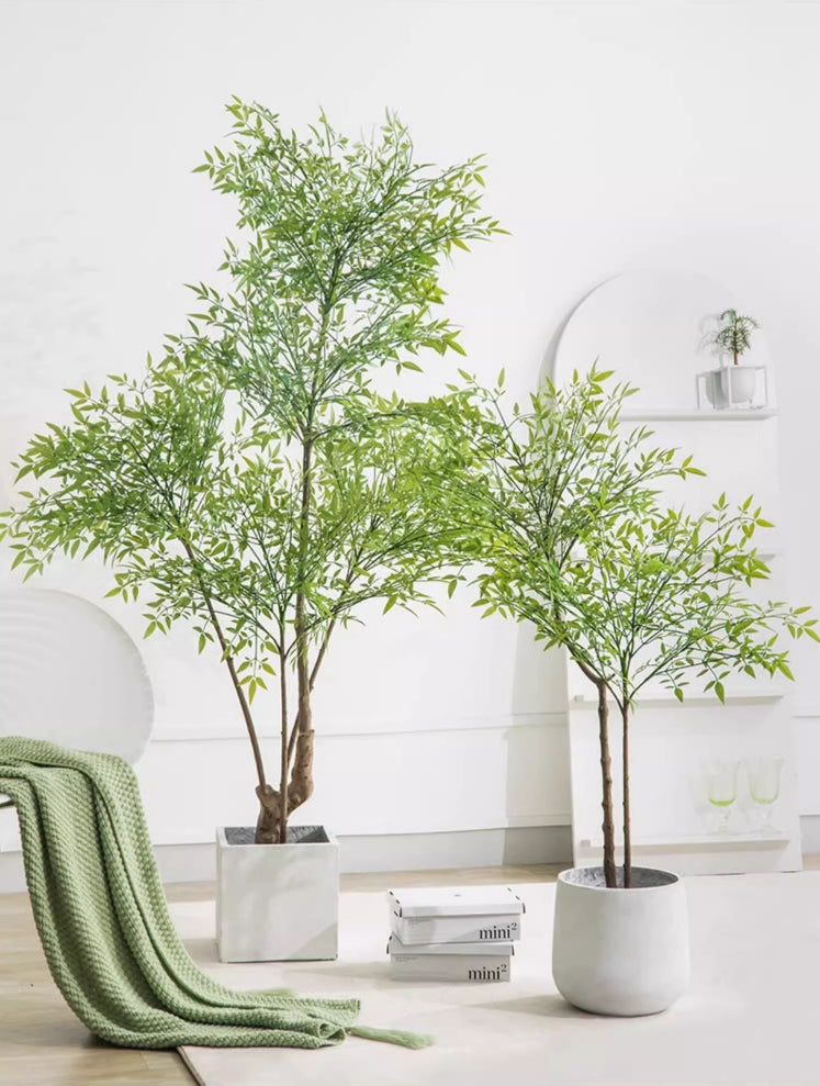 南天竹 （ナンテンチク） 商品コード【2902-0406-0615】