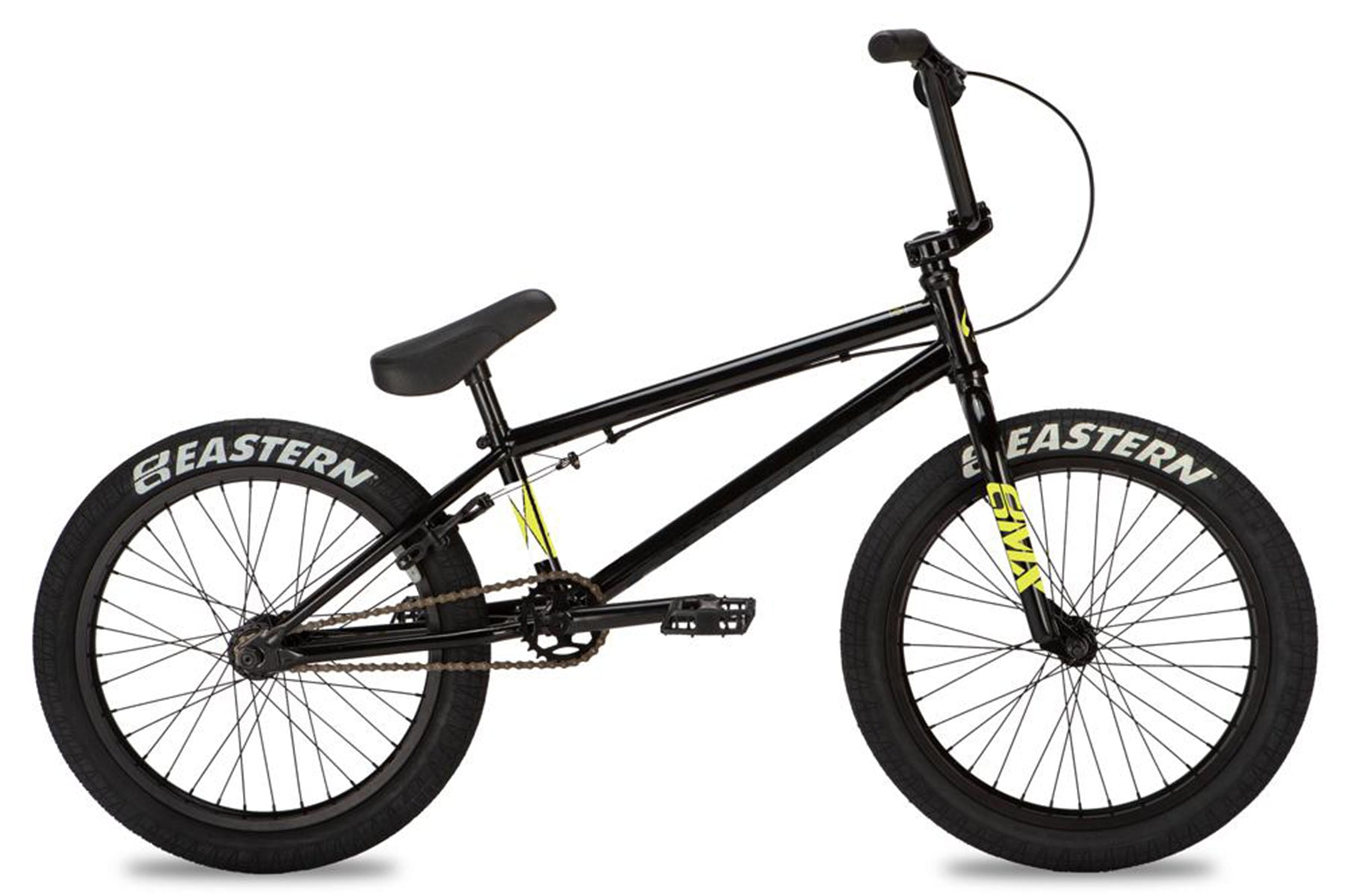 Eastern Nightwasp 20