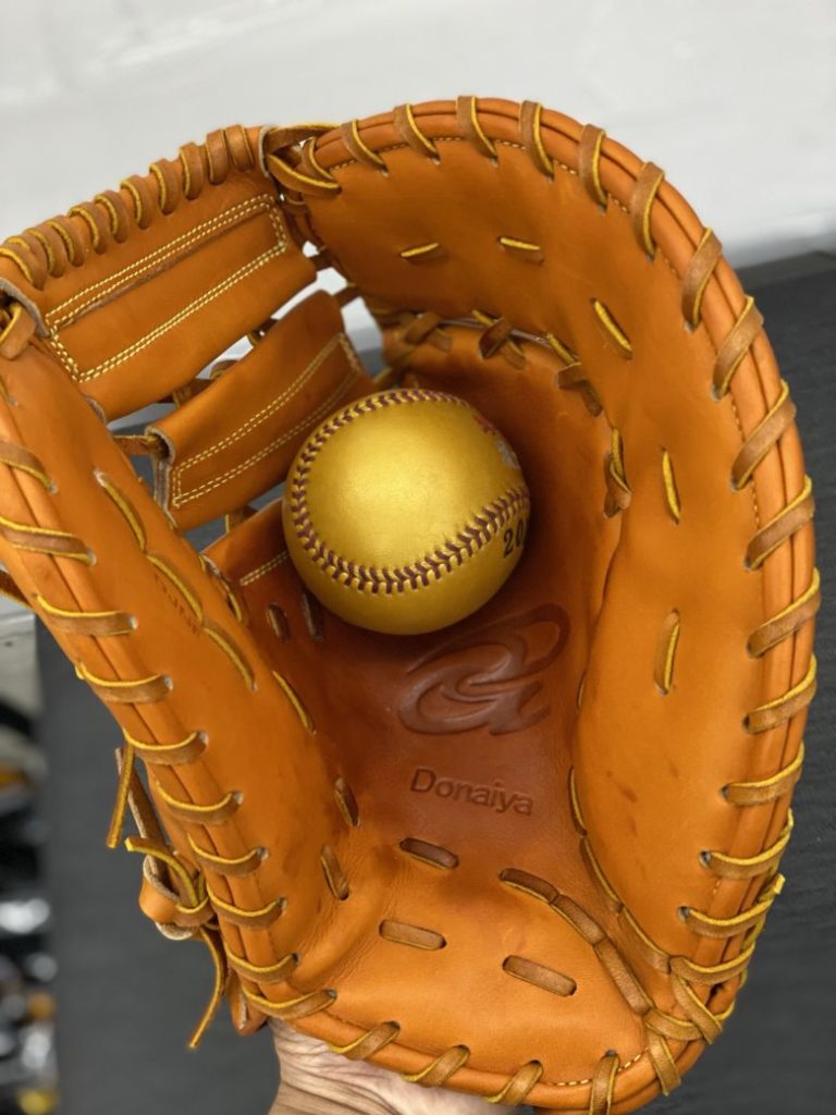 定番の魅力】ファーストミットのおすすめで迷ったらドナイヤのDJF(DJNF