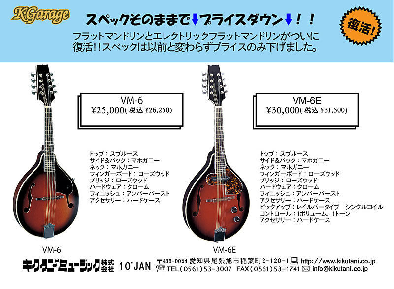 ARIA FlatMandolin AM-200E