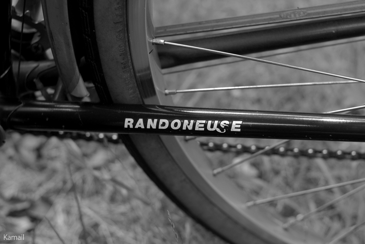 プロフィール】 片倉シルク・ランドヌーズ: Monochrome Yokohama