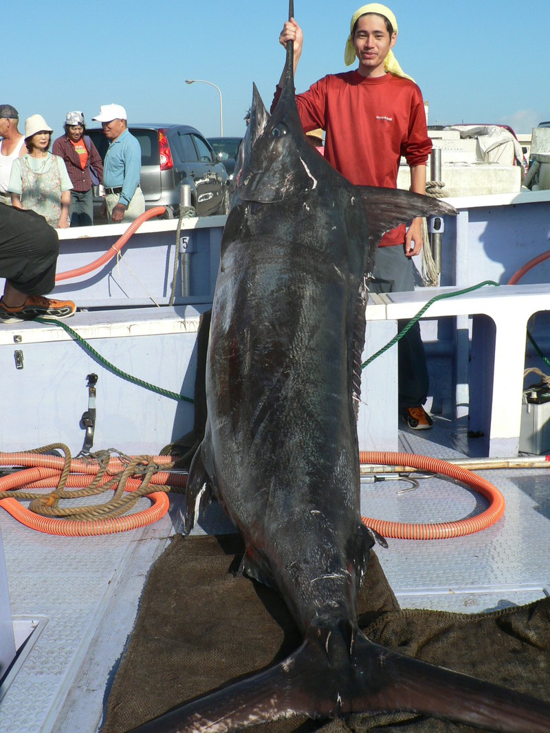 9月3日（日）超巨大魚制す！: 日立丸NEWS FLASH