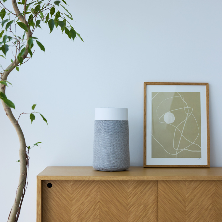 花粉対策】DustMagnet 5240i＆Blue Mini Maxセット | 【公式】ブルー