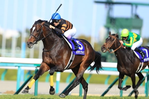 第61回大阪杯 武豊騎乗・キタサンブラック優勝 – The 岡田修平