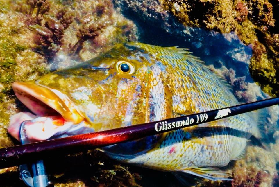 TULALA | Ford every stream | » Glissando 109