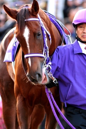 コイウタ もう一度、見たかった。。07ヴィクトリアマイル勝ち馬