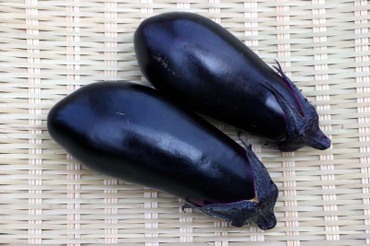 タネなしナス「あのみのり」: クサマヒサコの野菜ノート