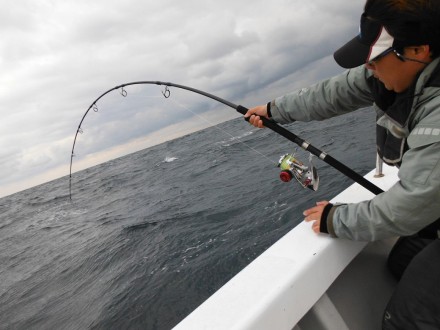 passions » RODS