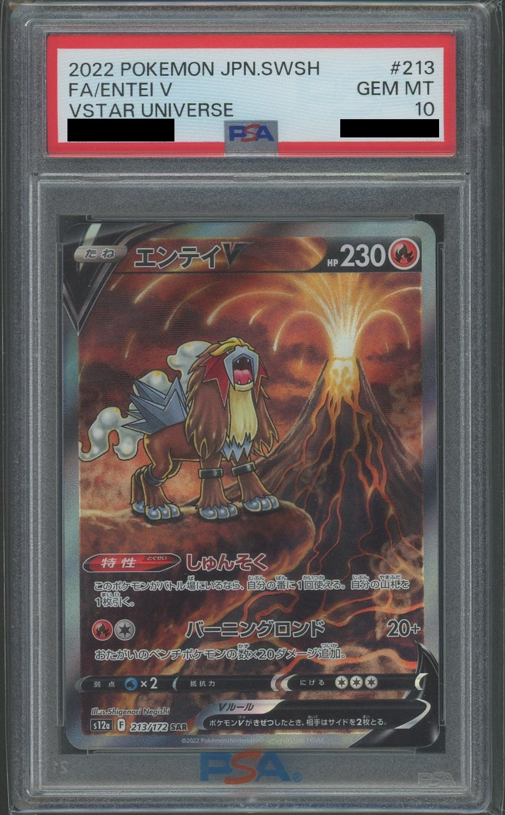 PSA10】エンテイV(SAR){炎}〈213/172〉[S12a] – 晴れる屋2