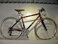 驚きの大特価！2016 COLNAGO Biscotti(ビスコッティ) | 札幌じてんしゃ本舗