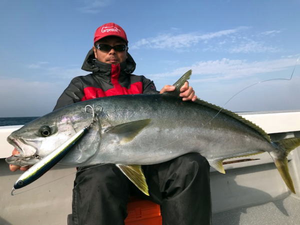 カーペンター ハヤブサ