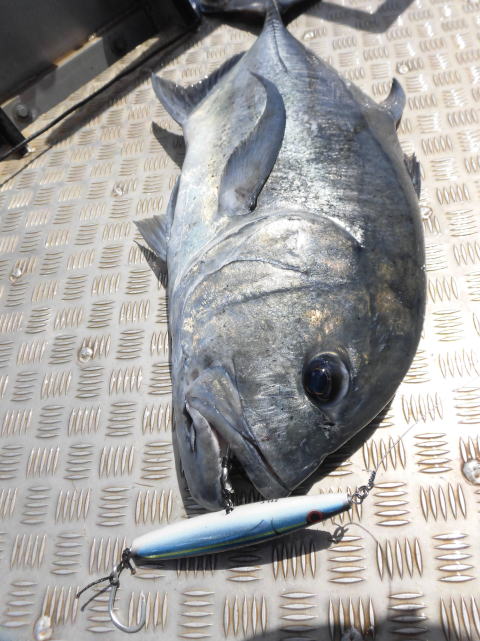 カーペンター GT マグロ ヒラマサ ルアー ロッド