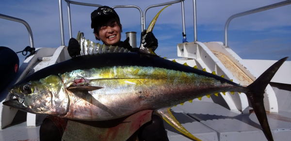 カーペンター BLC84／18 ブルーチェイサー