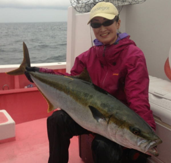 カーペンター BLC80／13 ブルーチェイサー