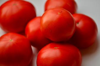 小松とまと」の取り組み／小松市ホームページ