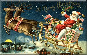 トナカイの秘密