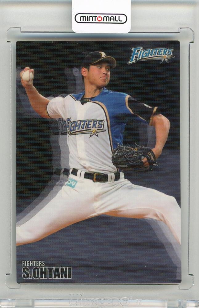 大谷翔平 2013 ハイライトフォト No.375 日本ハム 球団公式写真 大谷