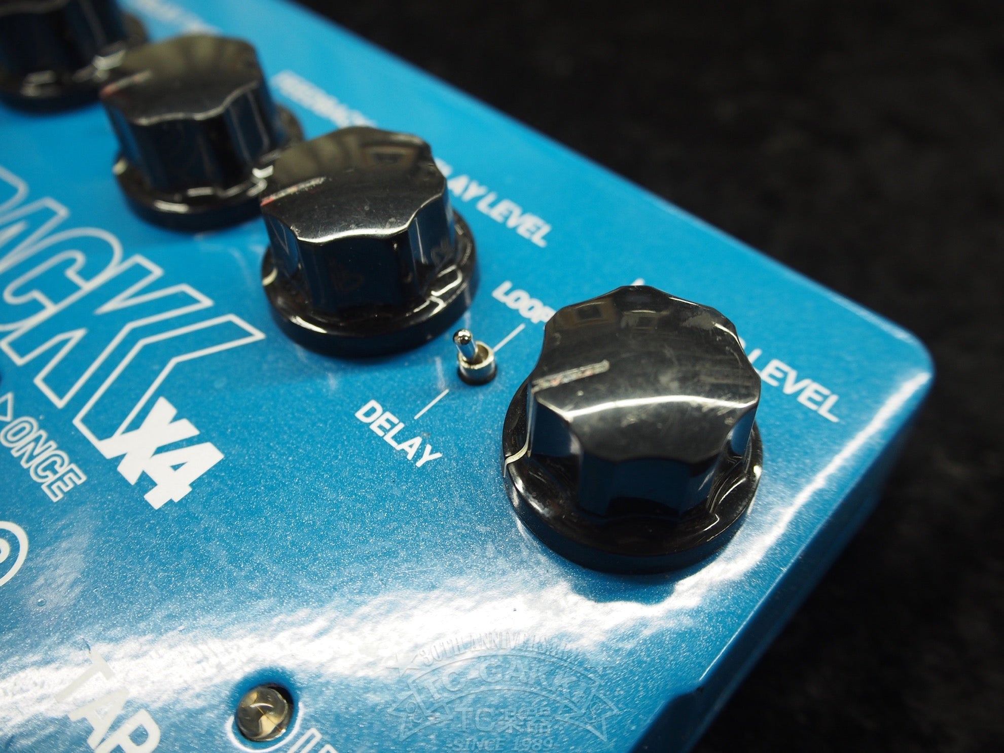 FLASHBACK X4 DELAY AND LOOPER