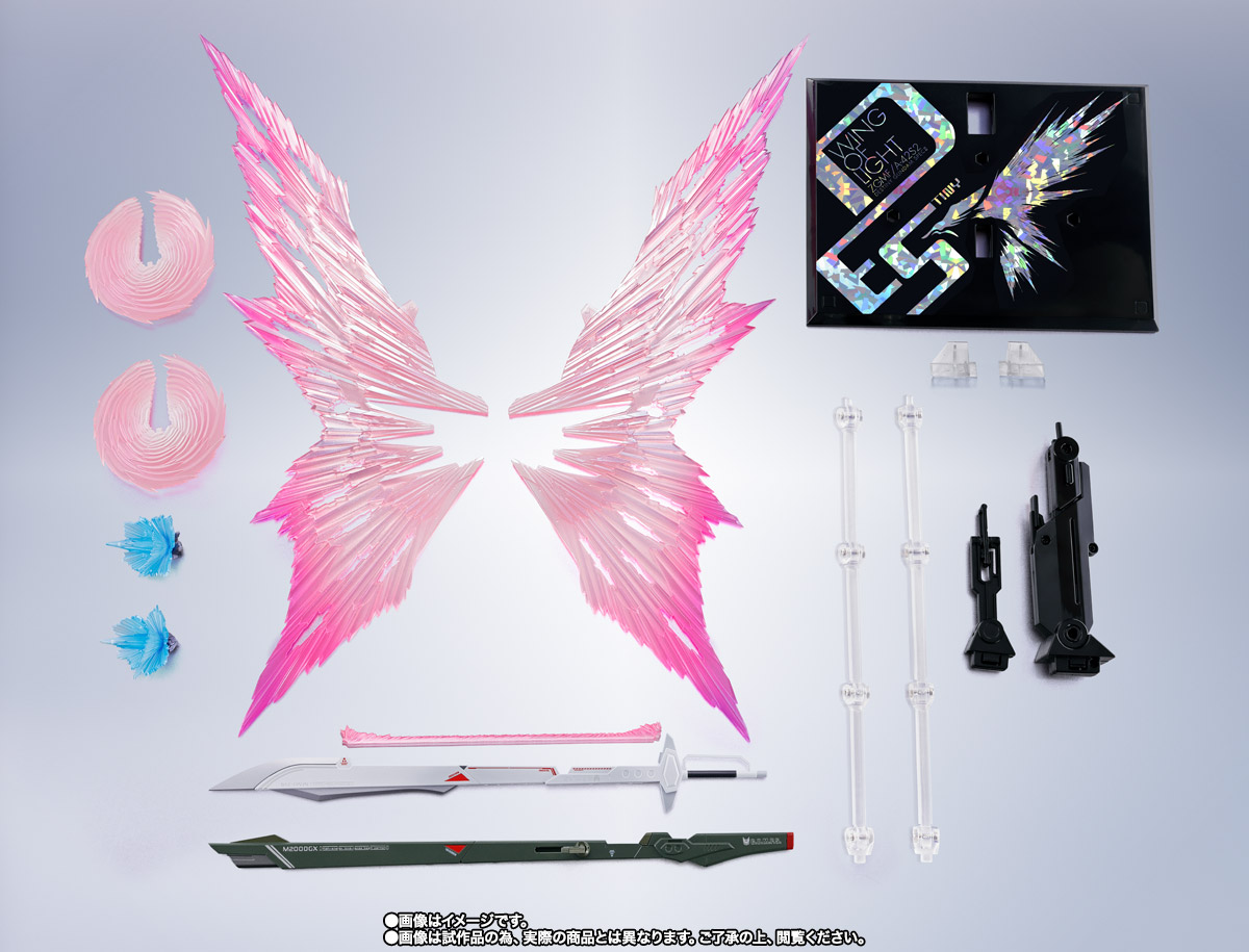 METAL ROBOT魂 ＜SIDE MS＞ デスティニーガンダムSpecII専用光の翼