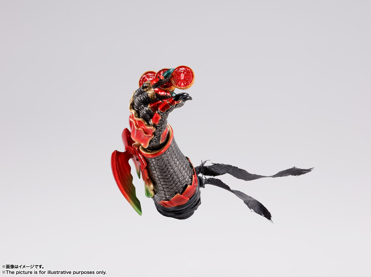 S.H.Figuarts（真骨彫製法） アンク | 魂ウェブ