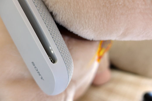 うちで遊ぼう】ウェアラブルネックスピーカー『SRS-WS1』で遊ぶ「Final