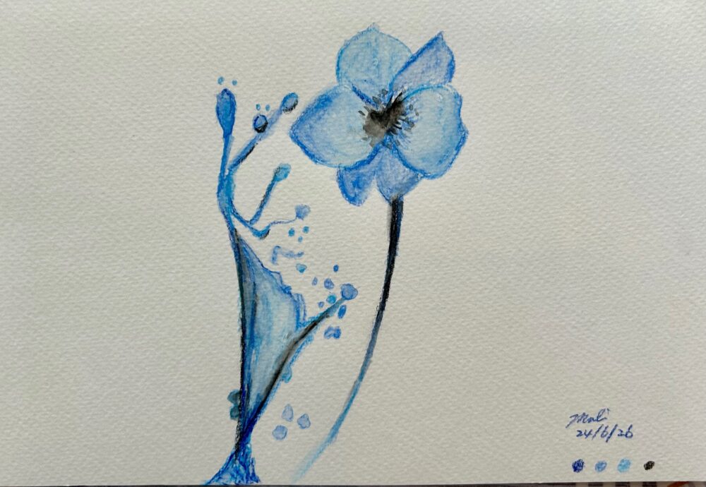 色鉛筆画61-65 Parrot - 生れ変わりタイ移住暮らし