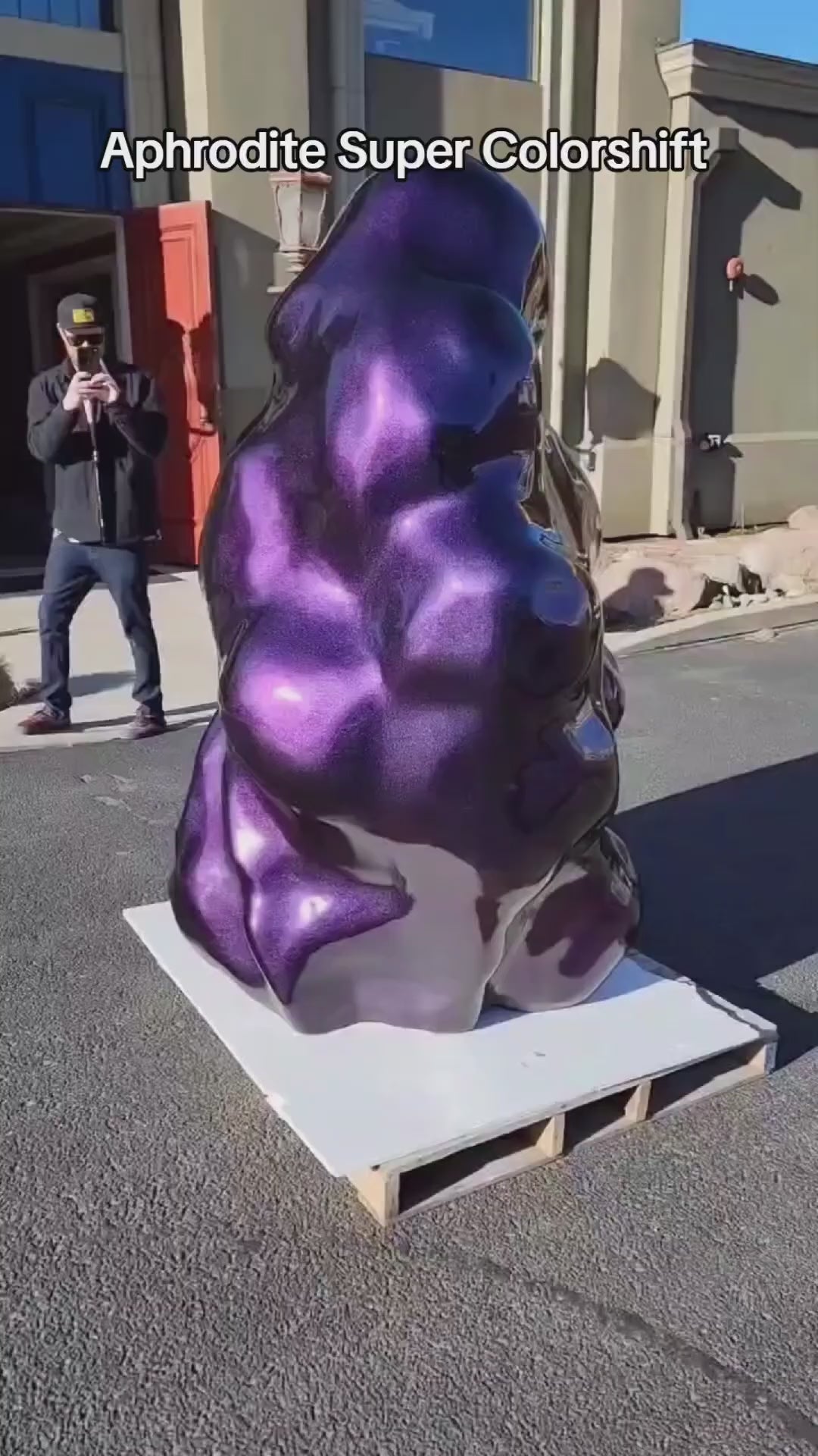 Aphrodite Super Colorshift Bike Paint Kit – The Spray Source