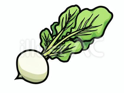 かぶイラスト - No: 22354678｜無料イラスト・フリー素材なら
