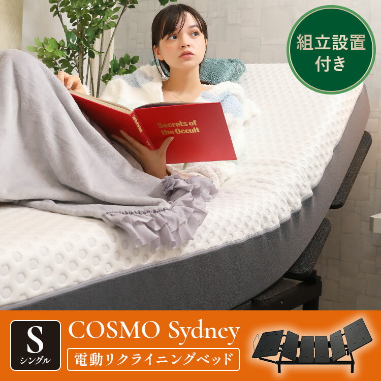 楽天市場】コイズミ 電動リクライニングベッドの通販