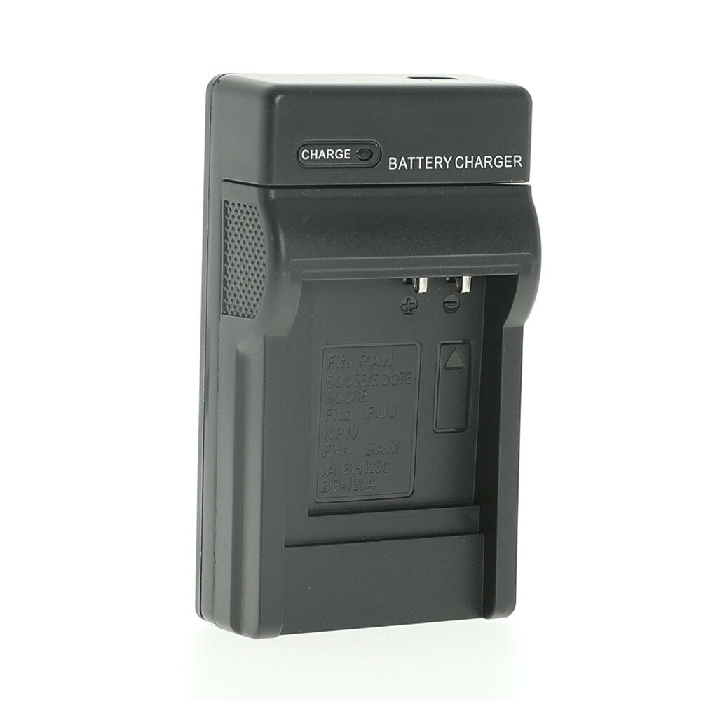 楽天市場】dmc fx100 充電 器の通販