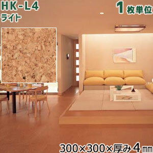 hk-l4_01.jpg