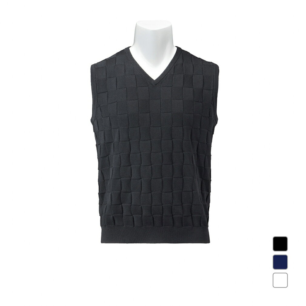 楽天市場】タイトリスト vネックの通販