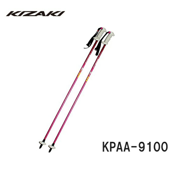 kizaki9100_1.jpg