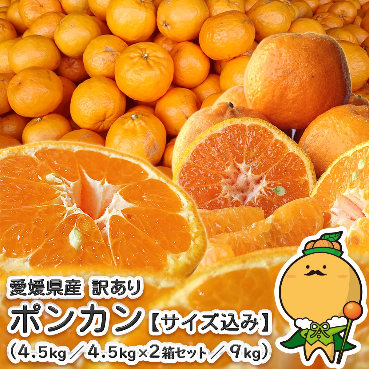 楽天市場】ポンカン（フルーツ・果物｜食品）の通販
