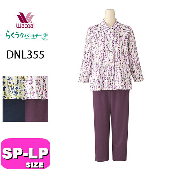 dnl355_01.jpg
