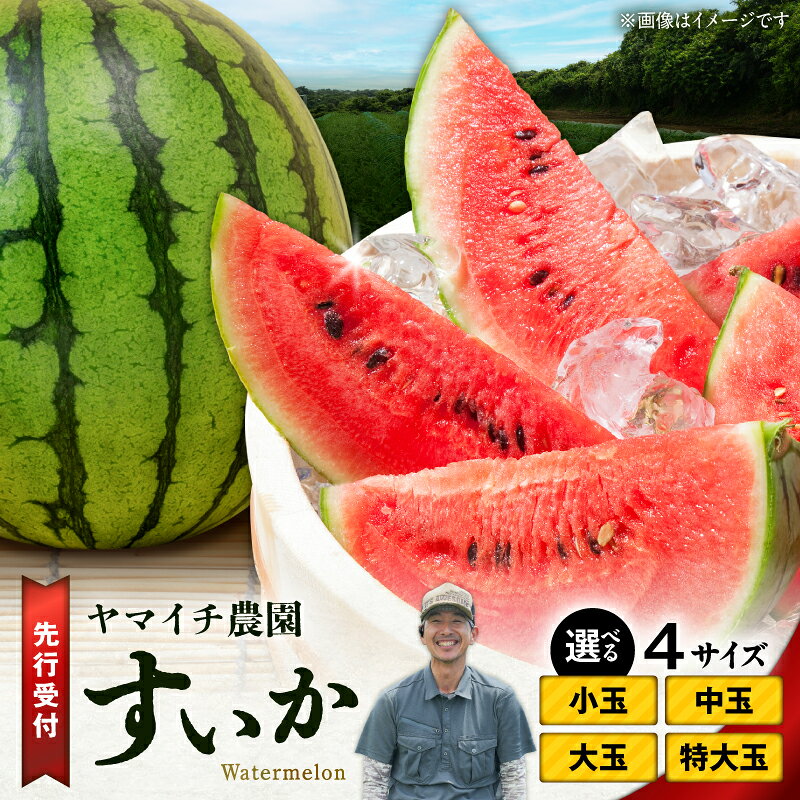 楽天市場】スイカ 三浦の通販