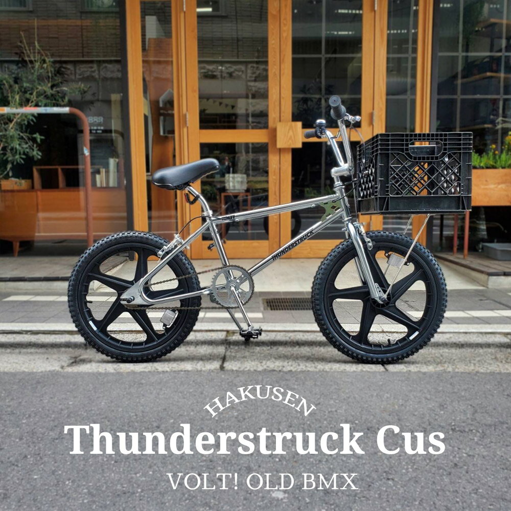 楽天市場】ヴィンテージ（BMX｜自転車・サイクリング）：スポーツ