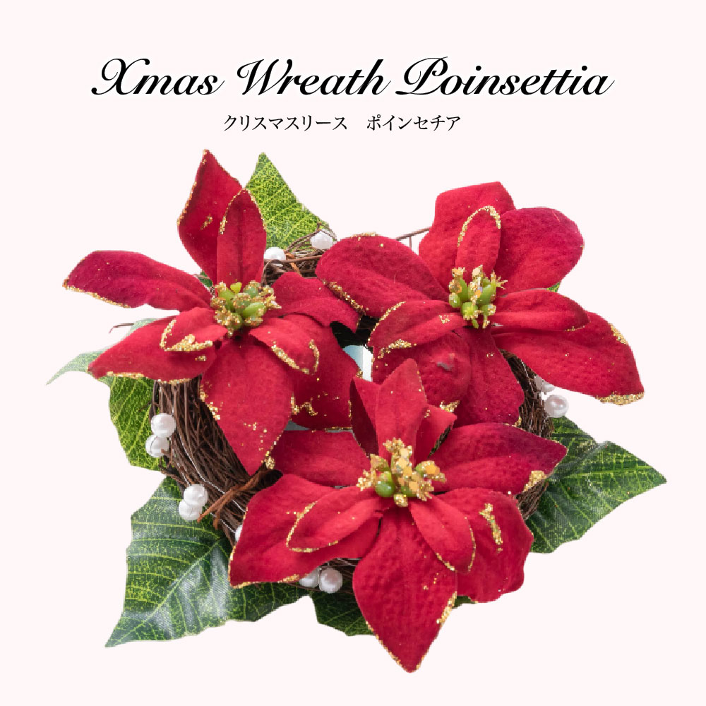 楽天市場】ポインセチア リースの通販