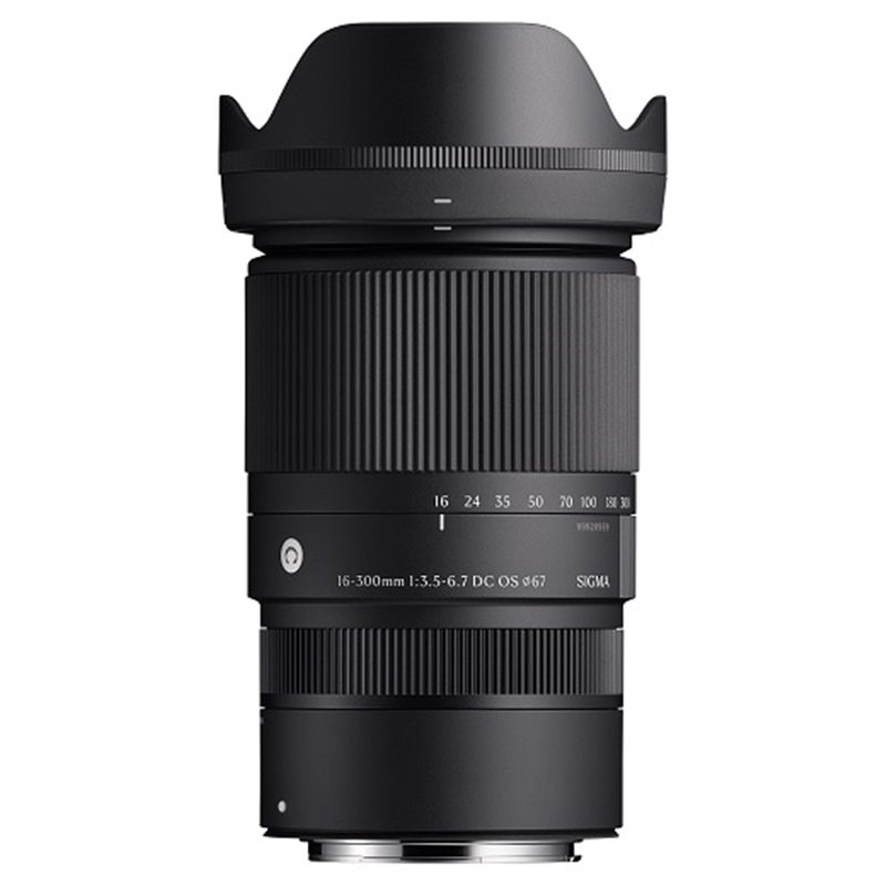 楽天市場】sigma 300mm canonの通販