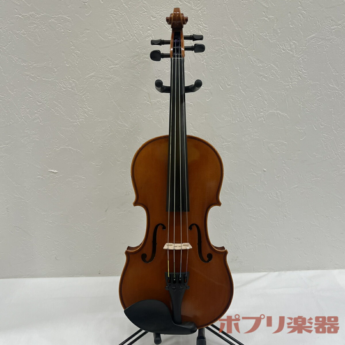 楽天市場】イーストマン バイオリン vl80の通販