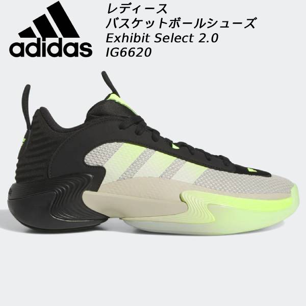 楽天市場】adizero bash 3の通販