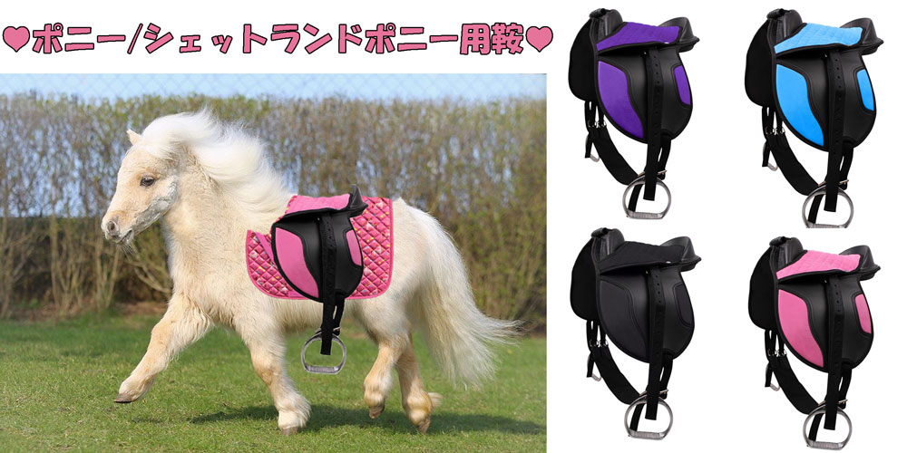 楽天市場】腹帯 乗馬（鞍｜乗馬）：スポーツ・アウトドアの通販