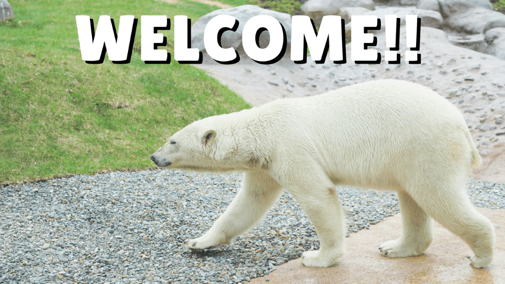 野生の動物にも会える？！円山動物園を100%以上楽しめるかもしれない