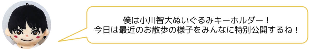 小川智大ぬいぐるみキーホルダーのお散歩日記