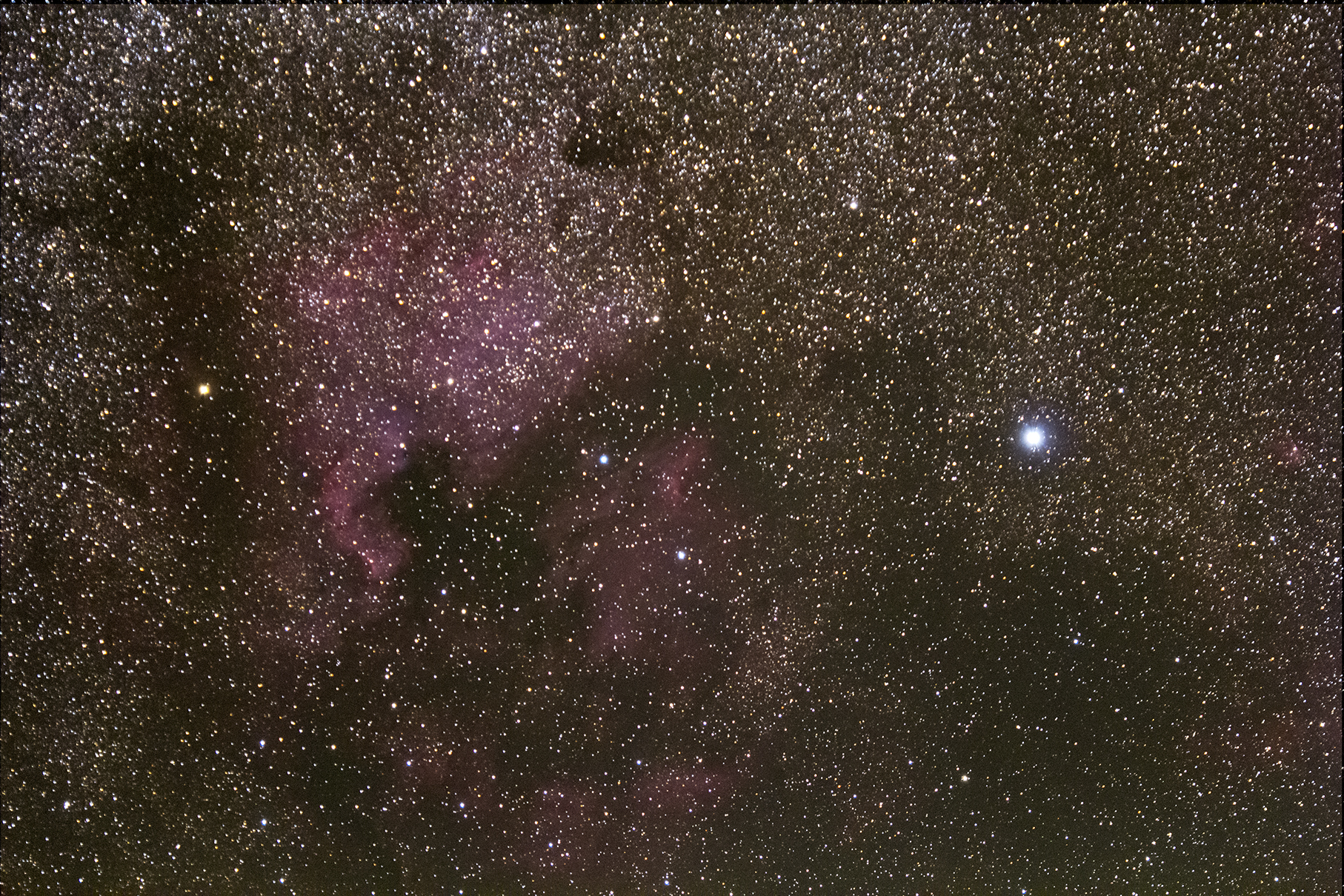 EOS 60Daと超望遠レンズの組み合わせに挑戦：RedLily様 | TOAST Blog